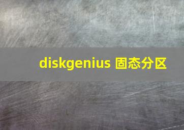 diskgenius 固态分区